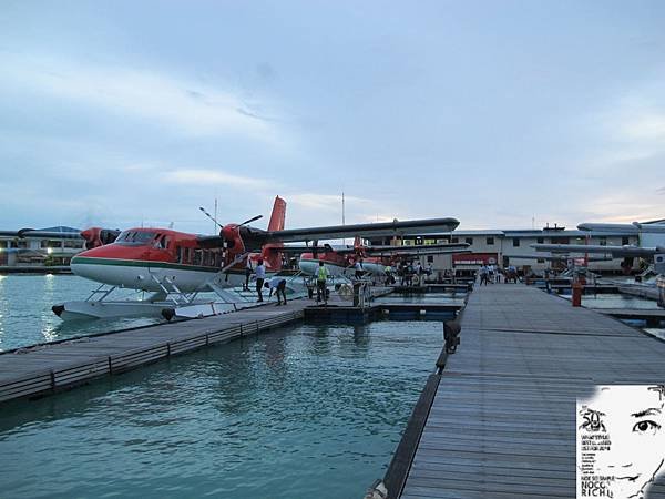 MALDIVES_2 662