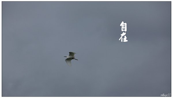 自在.JPG