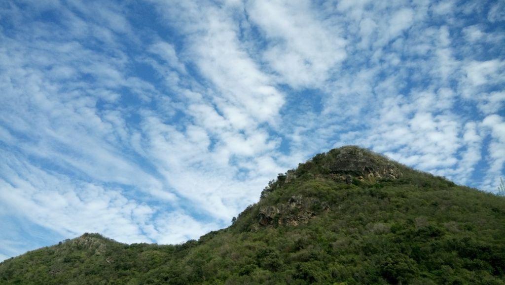 DSC_0362.JPG