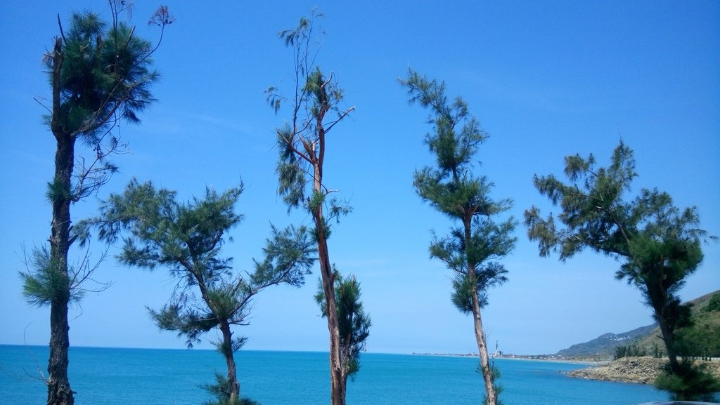 DSC_4069.JPG