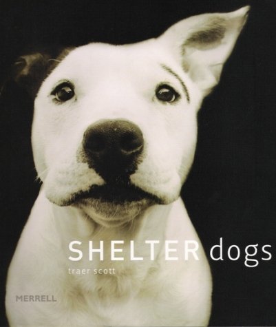 Shelter Dogs