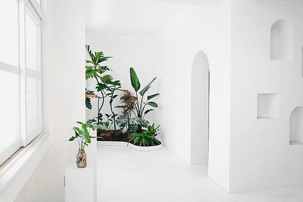 456074CF-3D45-471D-9BF6-B0EE3DB98615.jpg
