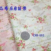 CNH-603 花草符號.JPG