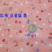 CNH-611卡通符號.JPG