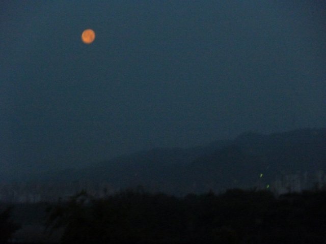 AP1020110.jpg