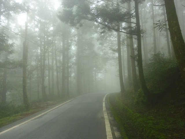 AP1020155.jpg