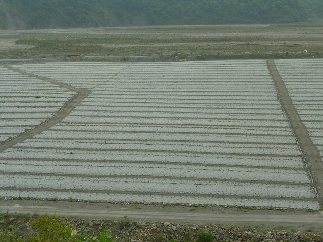 AP1020162.jpg