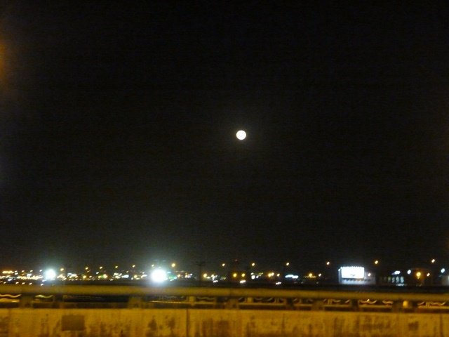AP1020176.jpg