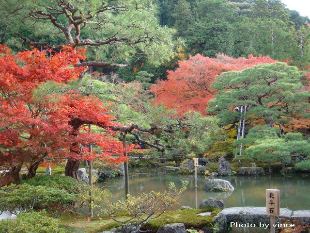 銀閣寺  錦鏡池