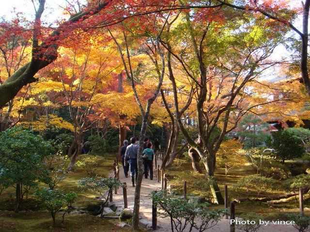 銀閣寺 楓葉2