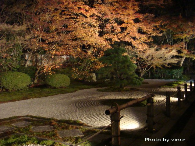 南禪寺天授庵 夜楓1