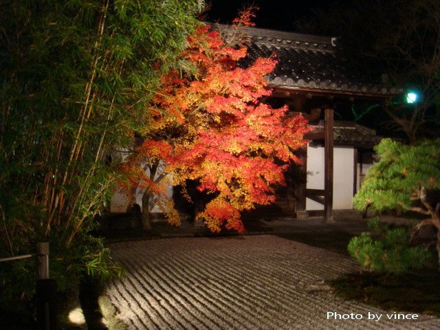 南禪寺天授庵夜楓 2