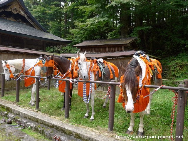 遊行的馬兒