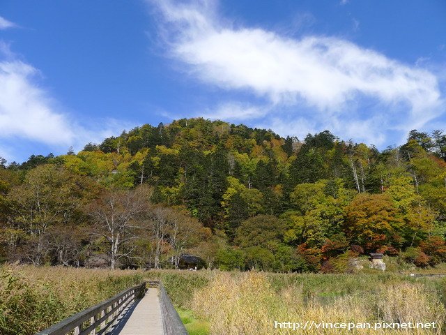 湯元溫泉源頭 紅葉