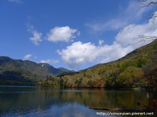 湯之湖 遠山紅葉