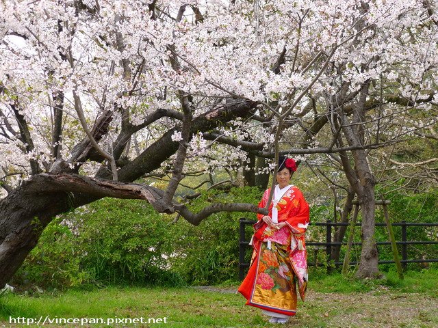 西公園 新娘外拍