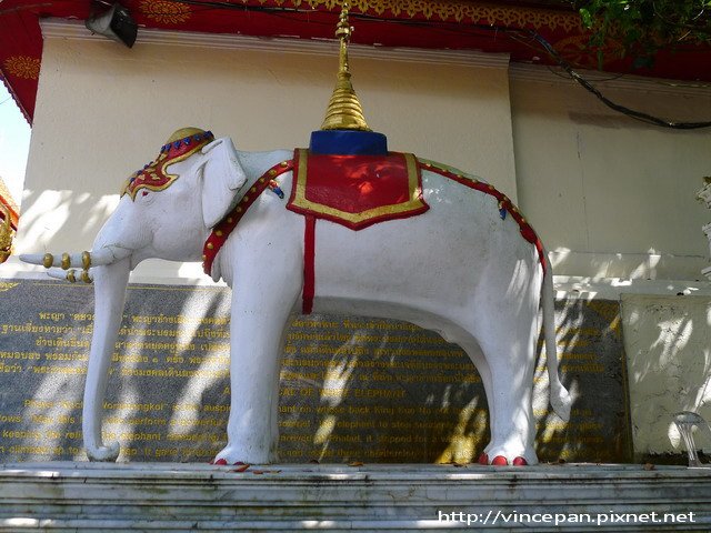 素帖寺 白象