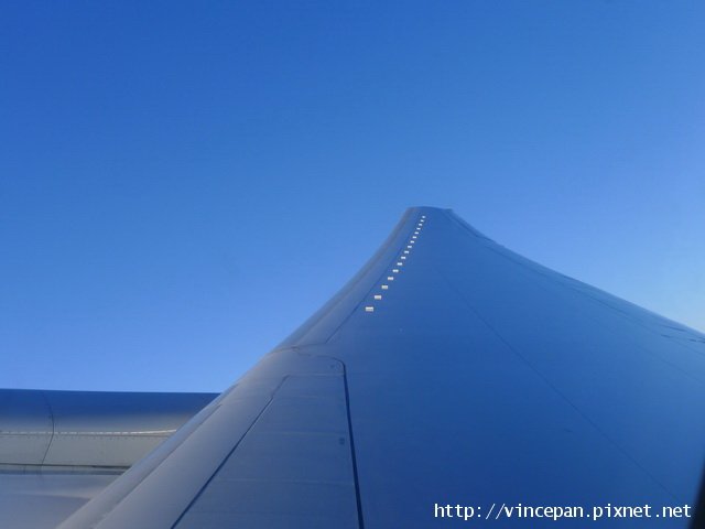 酷航 機翼