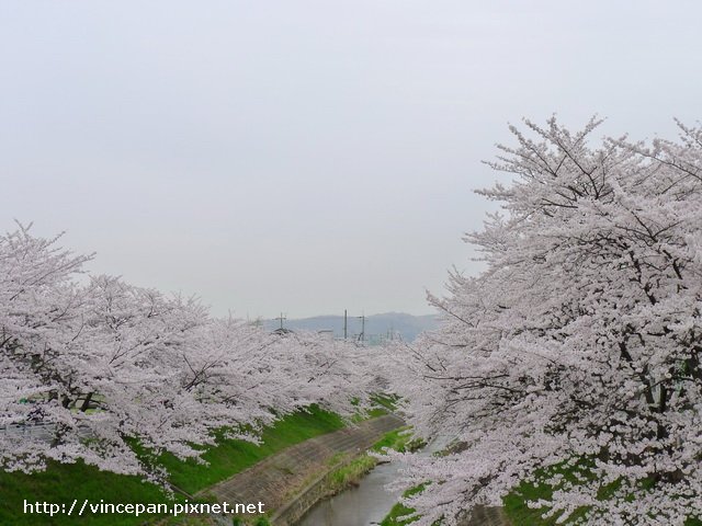 佐保川