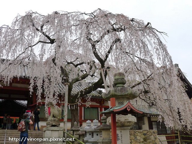 冰室神社