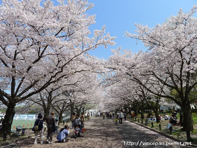 萬博紀念公園