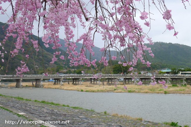 渡月橋