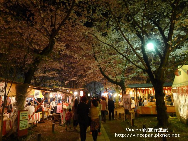 平野神社 夜櫻2