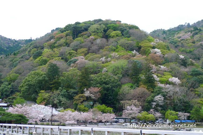 嵐山 山景1