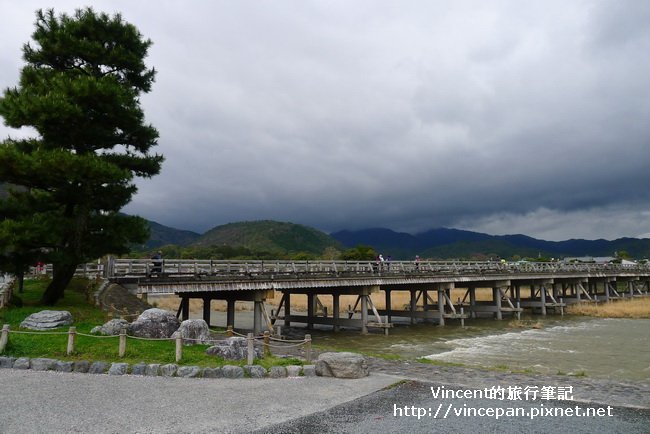 渡月橋 松樹