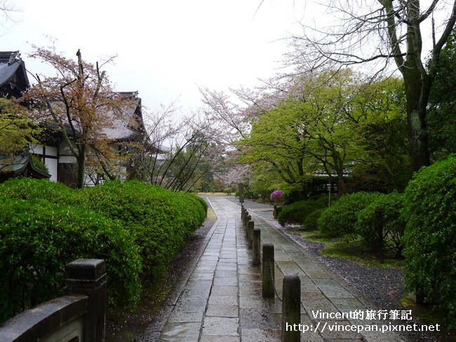 廣隆寺 石板路2