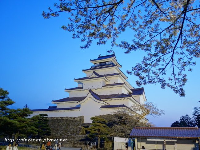 會津若松城 櫻花 夜2