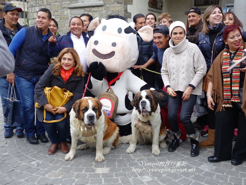 聖伯納犬合照