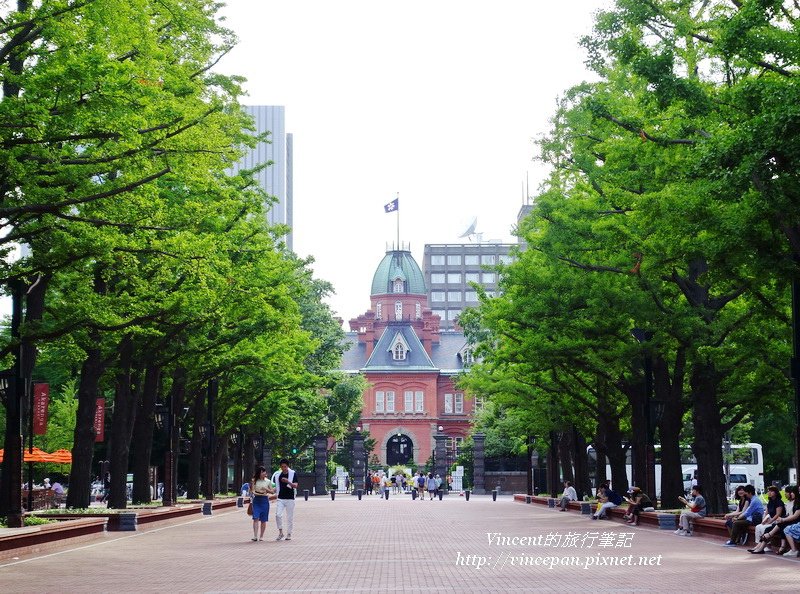 北海道舊道廳 銀杏2