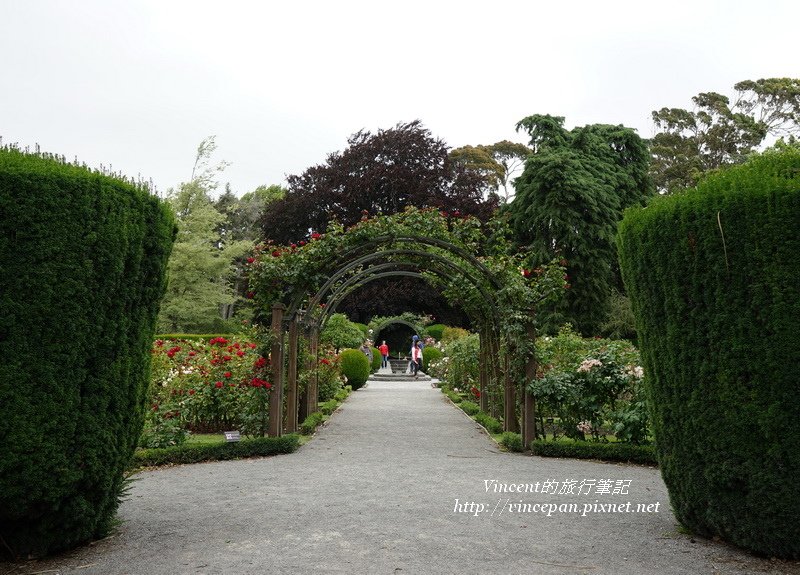 玫瑰花園 園藝2