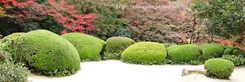 詩仙堂 書院庭園 全景