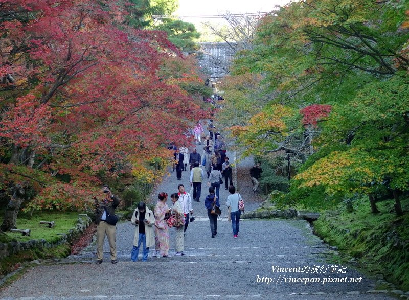 紅葉の馬場 往下