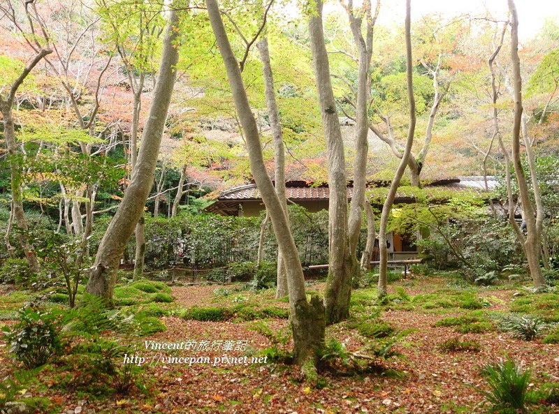 祇王寺 森林本堂