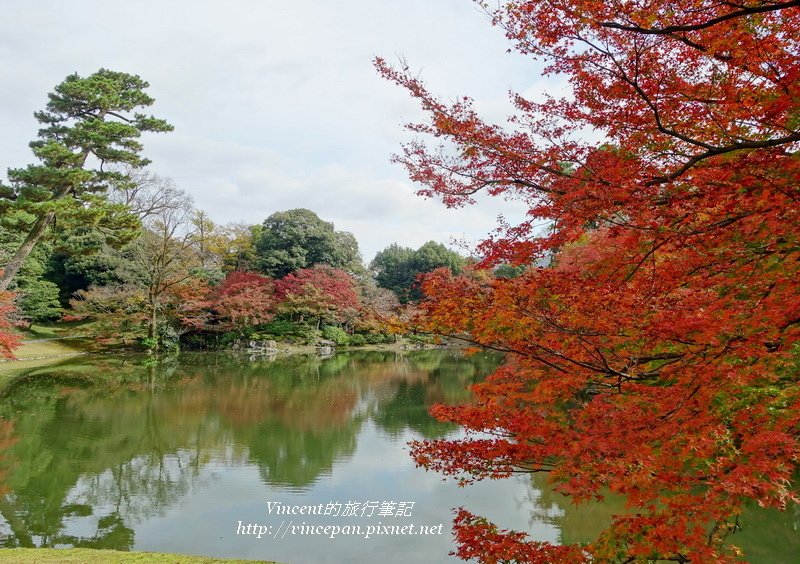 仙洞御所 北池 紅葉