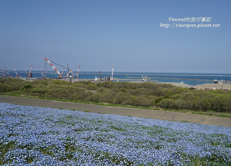 花海 港口