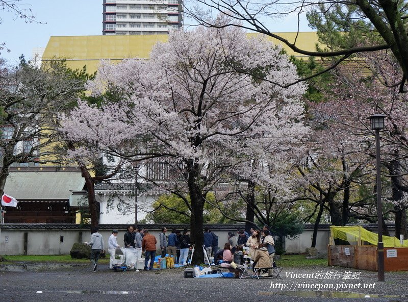 勝山公園賞櫻