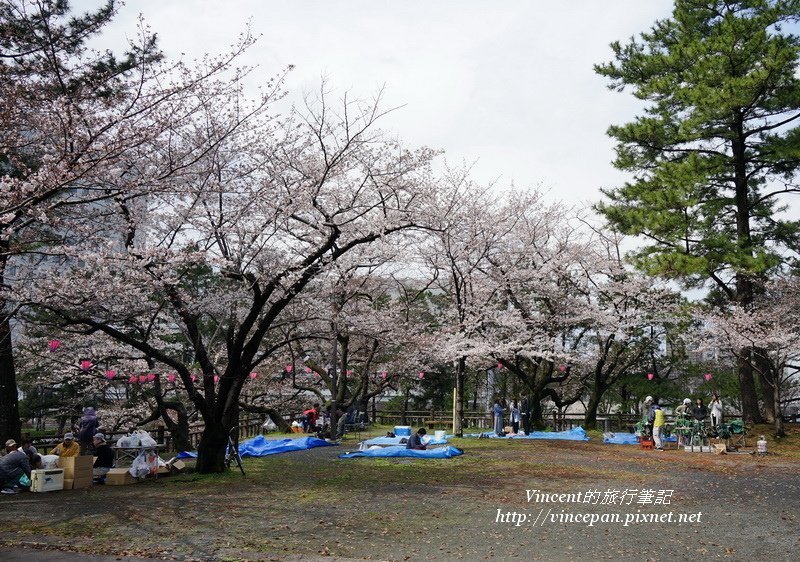 勝山公園賞櫻1