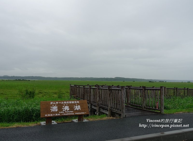 濤沸湖  濕地