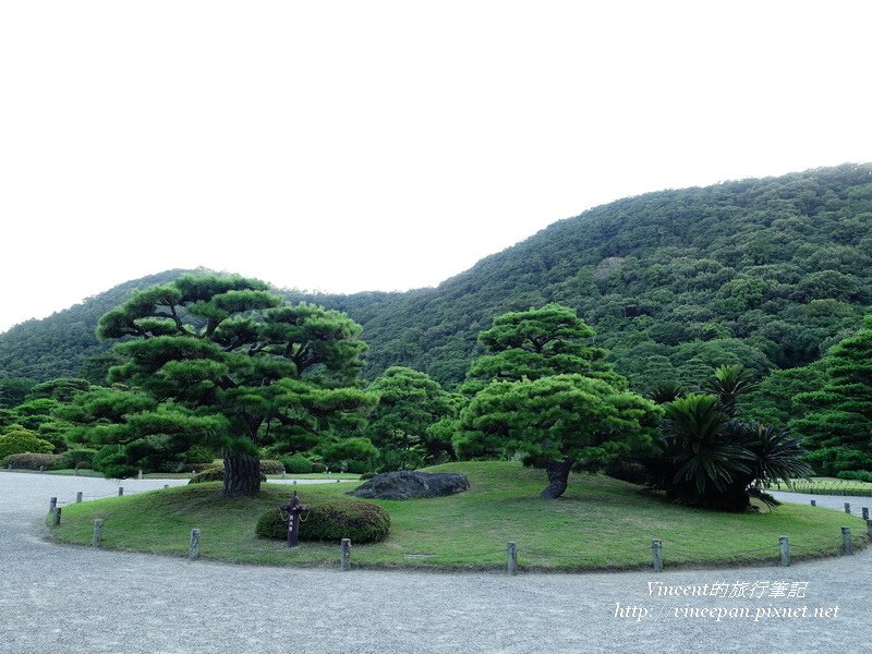 圓環 松樹