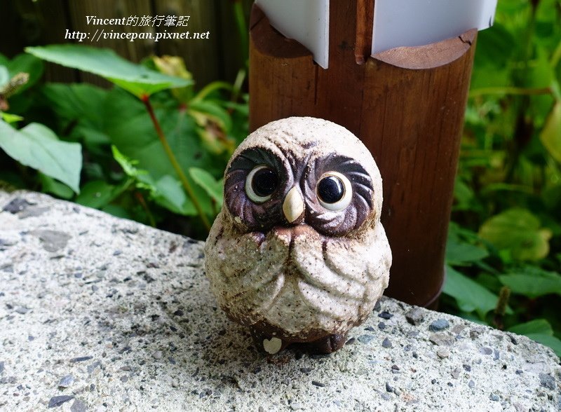 貓頭鷹的裝飾