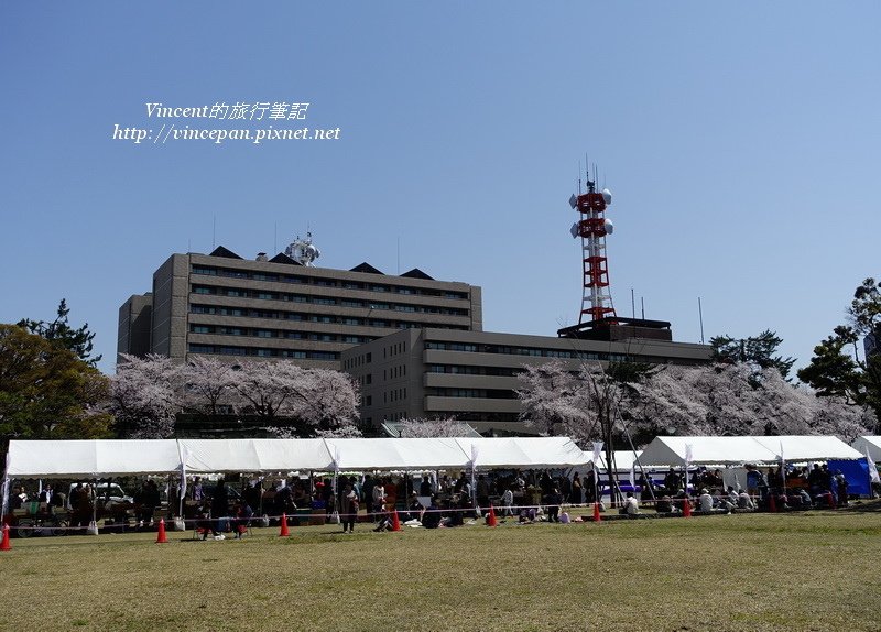 廣場櫻花祭活動