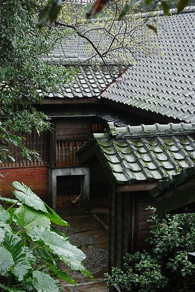 DSC_5536.JPG