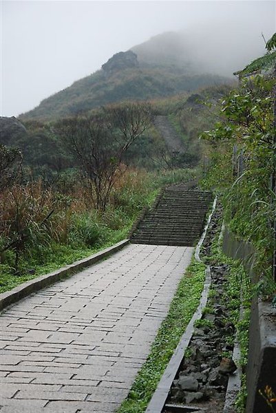 DSC_5656.JPG