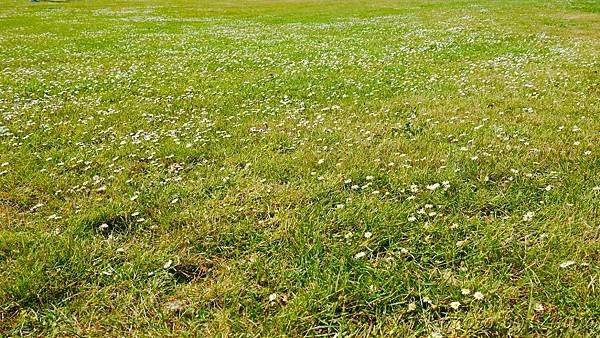 PhotoCap_072