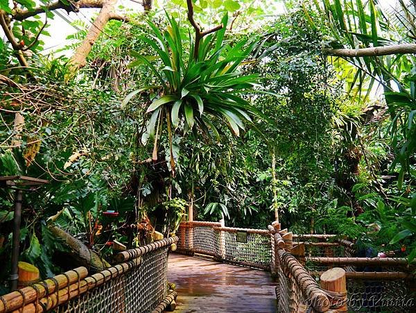 zoo_019