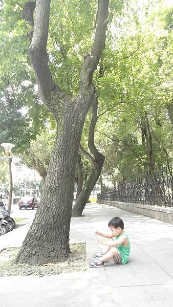 DSC07368